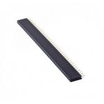 female header 40pin